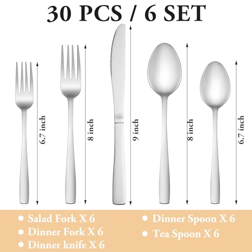 30 Piece Silverware Set Service for 6 (30 Count)