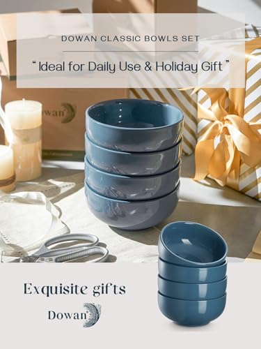 22 OZ Ceramic Soup Bowls & Cereal Bowls (4 Count)