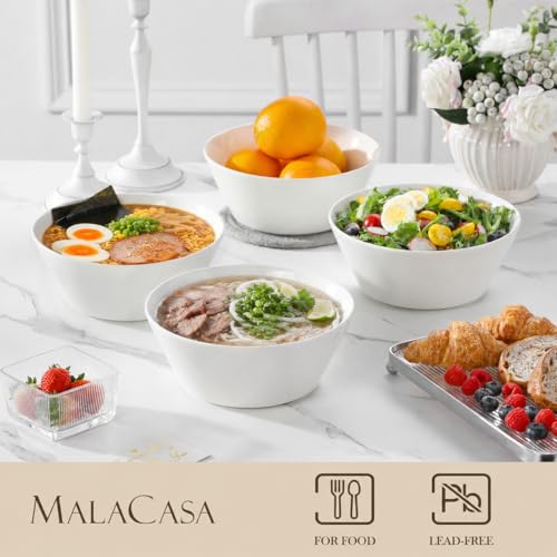 60 OZ Large Salad Soup Bowls Set of 4 (4 Count)