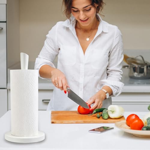 Stainless Steel Paper Towel Holder