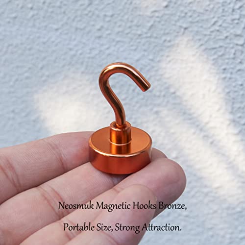 Magnetic Hooks (10 Count)
