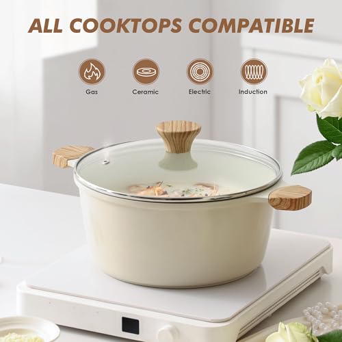 Ceramic Nonstick Stock Pot with Lid