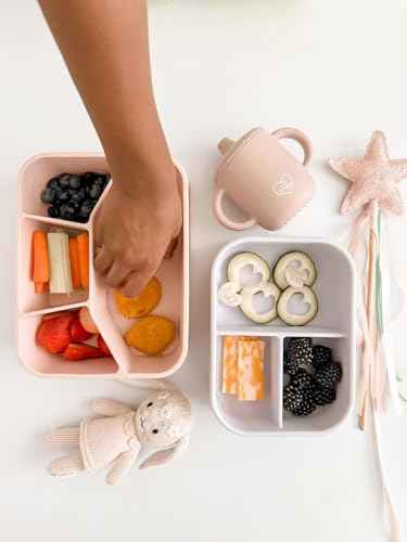 Kids Bento Box