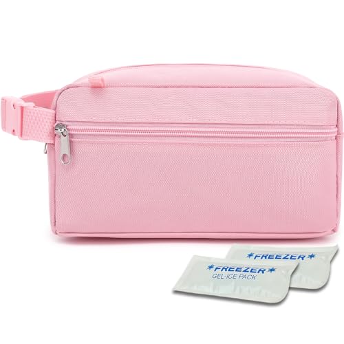 Freezable Snack Bag with Removable Ice Packs