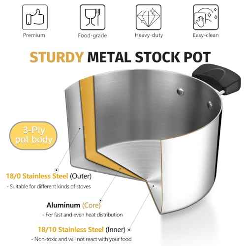 4 Qt Pot with Lid