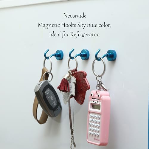 Magnetic Hooks (10 Count)