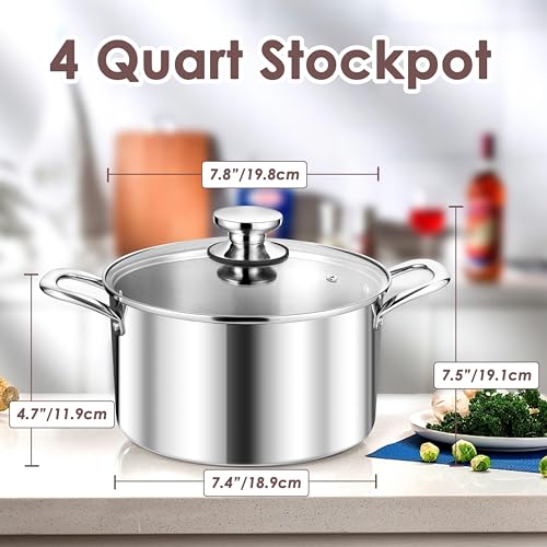 4 Quart Stock Pot