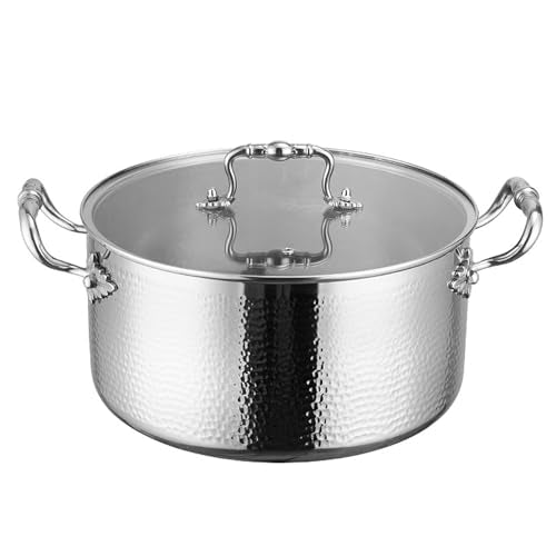 Stainless Steel Stock Pot with Visible Lid for Pasta