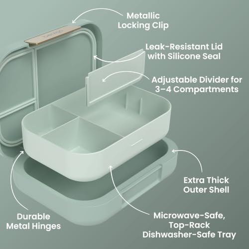 Modern Adult Bento Lunch Box with 3
