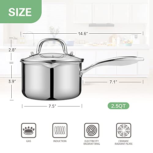 2.5 Quart Stainless Steel Pot Saucepan with Glass Strainer Lid