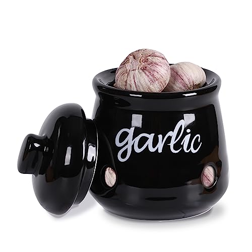 Ceramic Mini Garlic Saver Container for Countertop (12 Ounce)