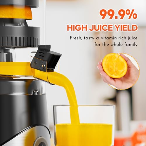 Electric Citrus Juicer