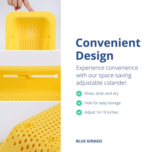 Over Sink Colander