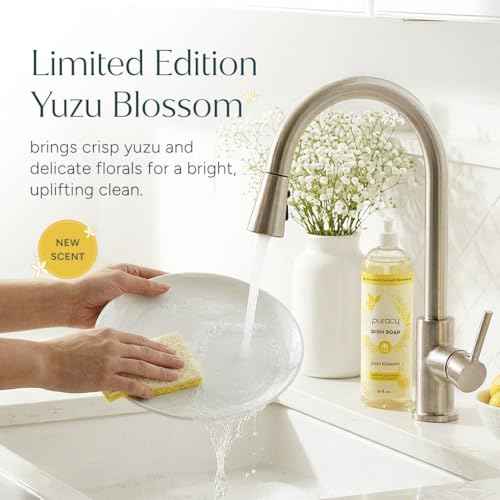 Natural Dish Soap (16 Fl Oz)