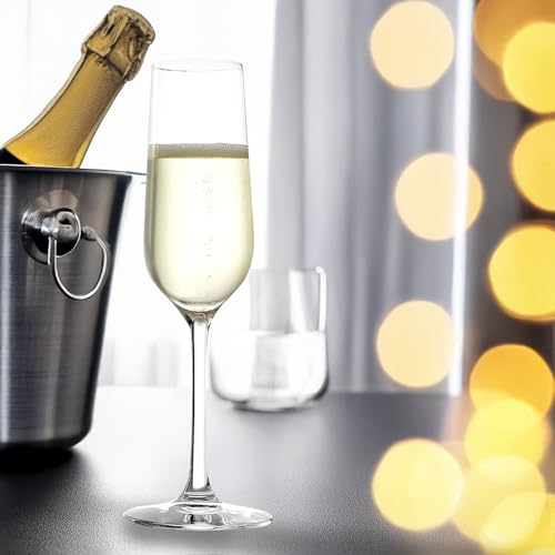 Revolution Sparkling Wine Champagne Glasses 6 3 (6 Count)
