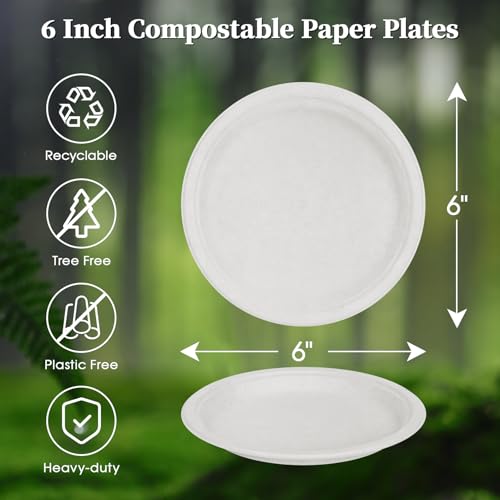6 in 500 Pack White Disposable Compostable Dessert Paper Plates (500 Count)