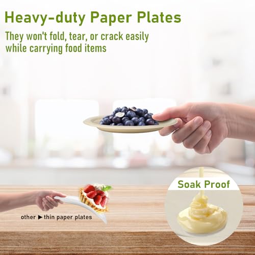 Small Disposable Plates 6 inch (50 Count)