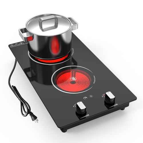 2 Burner Electric Cooktop