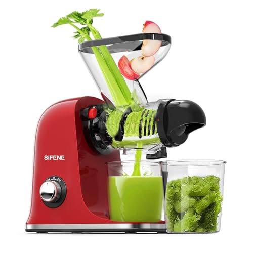 Mini Slow Masticating Juicer