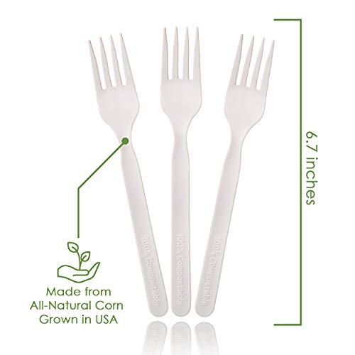 100% Compostable Forks (500 Count)