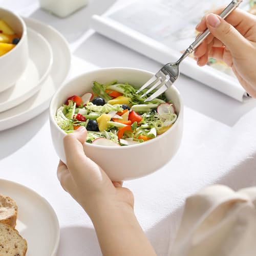 24 OZ Ceramic Bowls Set of 4 (4 Count)