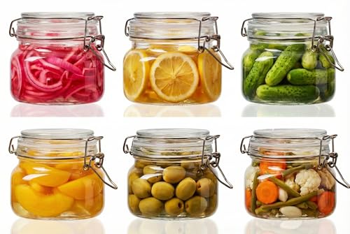 17 oz Square Glass Jars with Airtight Lids (6 Count)