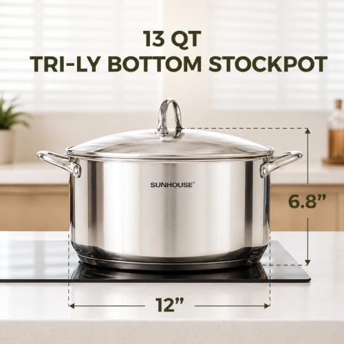 13 Quart Stock Pot with Lid