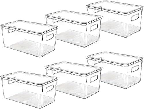 Clear Plastic Storage Bins with Lids (6 Count)