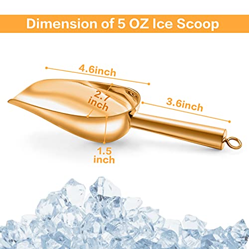 5oz Ice Scoop