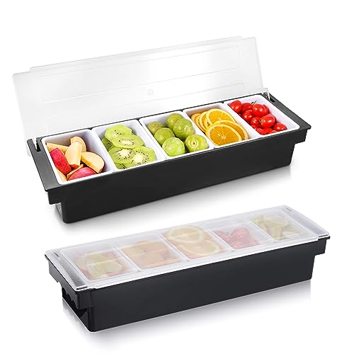 Ice Chilled Condiment Caddy with 5 Removable Trays and Lid (88.1849 Ounce)