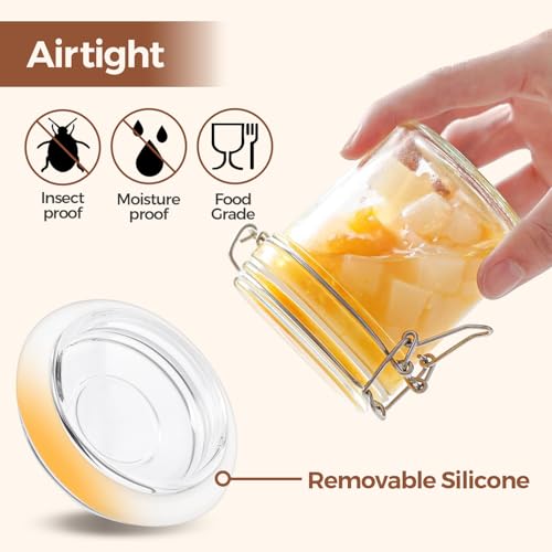 Small Mason Glass Jars with Airtight Lids 8 oz 6 Pack Pantry (6 Count)