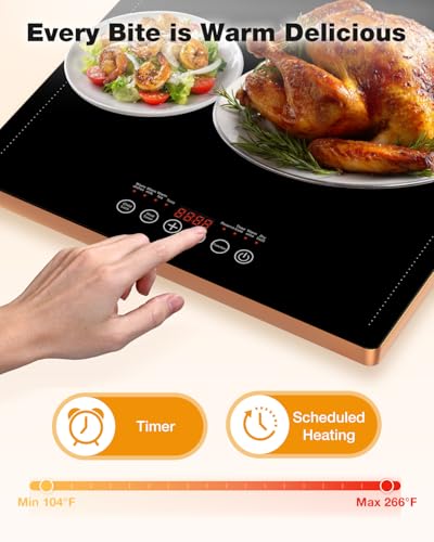 Electric Warming Tray