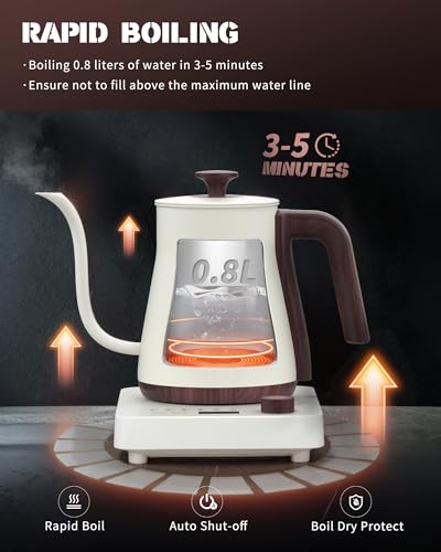 Gooseneck Electric Kettle