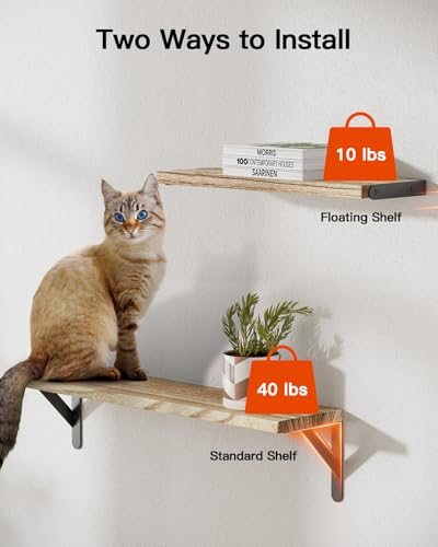 Amada Solid Paulownia Wood Wall Shelves (6 Count)