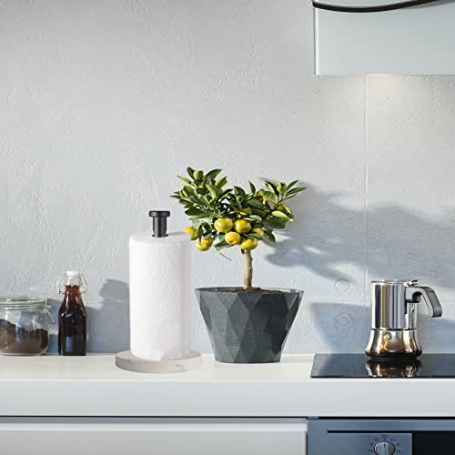 Paper Towel Holder Countertop