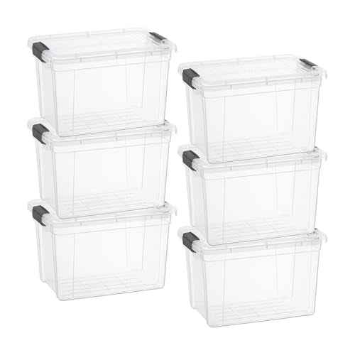 Small Clear Storage Boxes with Lids (6 Count)