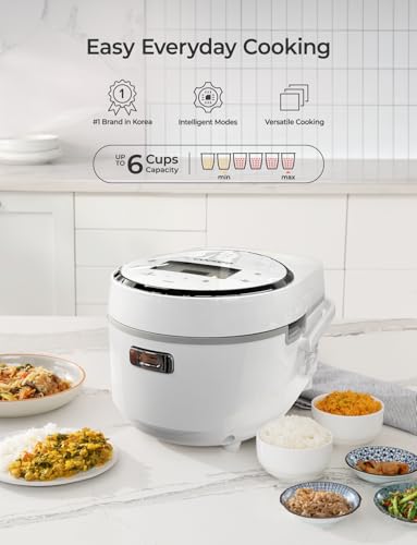 Micom Fuzzy Logic Rice Cooker