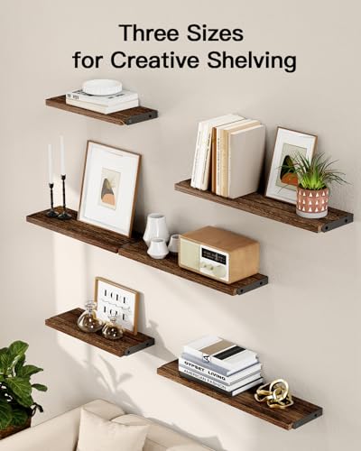 Amada Solid Paulownia Wood Wall Shelves (6 Count)