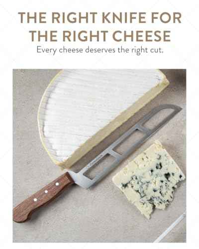 Professional Soft Cheese Knife