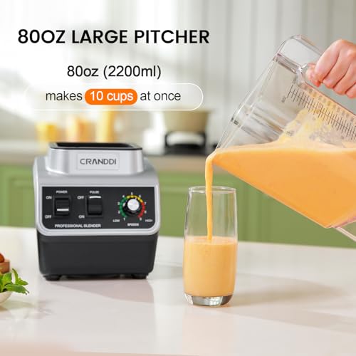 Professional Commercial Blender