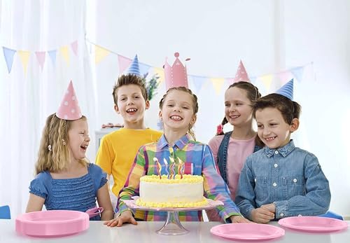 Sturdy Pink Plastic Plates 10" Party Plates 100 Pcs (100 Count)