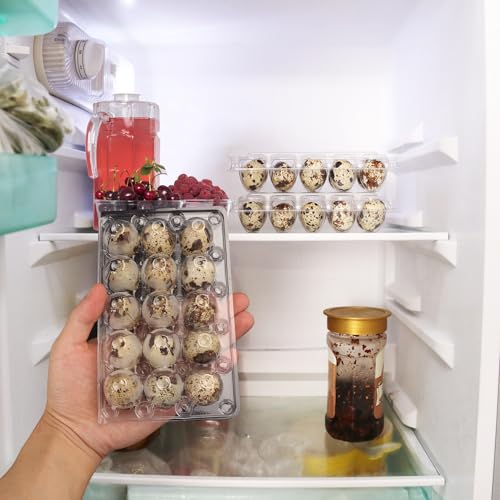 200 Pack Quail Egg Cartons (200 Count)