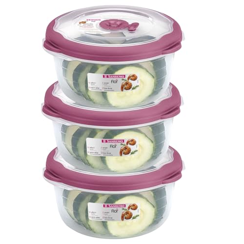 3.1 Cup Plastic Bowls Food Storage Container With Lid For Leftovers (25 Fl Oz)