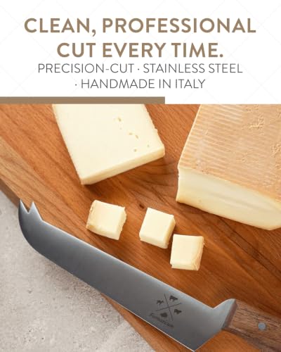 Professional Tasting Cheese Knife