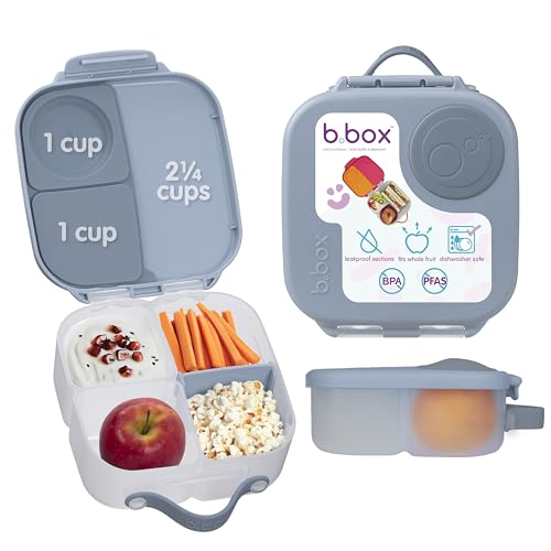 Mini Lunch Box