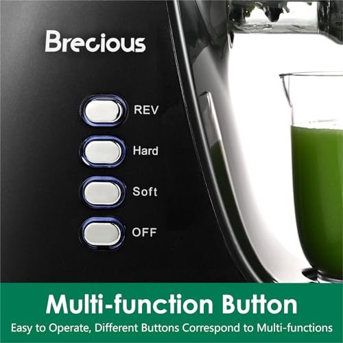 Slow Masticating Juicer