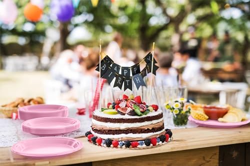 Sturdy Pink Plastic Plates 10" Party Plates 100 Pcs (100 Count)