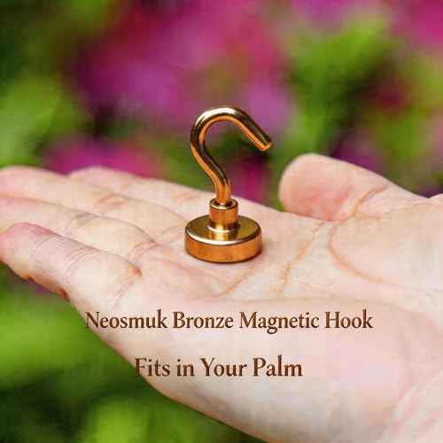 Magnetic Hooks (12 Count)