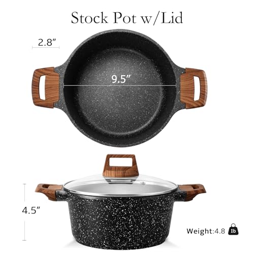 Nonstick Stock Pot with Lid