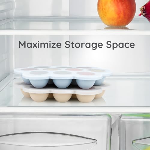 2 Pack Baby Food Freezer Tray with Lids (2 Count)